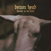 Demon Head - Thunder On The Fields Lp Black in the group Labels / The Sign Records / Demon Head at Bengans Skivbutik AB (2288138)