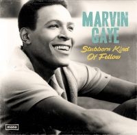 Gaye Marvin - Stubborn Kind Of Fellow in the group VINYL / RnB-Soul at Bengans Skivbutik AB (2385518)