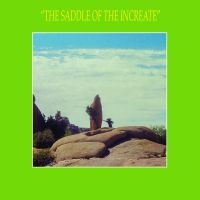 Sun Araw - Saddle Of The Increate in the group VINYL / Pop-Rock at Bengans Skivbutik AB (2392777)