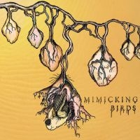 Mimicking Birds - Mimicking Birds in the group CD / Pop-Rock at Bengans Skivbutik AB (2404696)