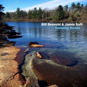 Brovold Bill & Jamie Saft - Serenity Knolls in the group VINYL / Rock at Bengans Skivbutik AB (2404749)