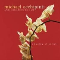 Occhipinti   Michael - Chasing After Light in the group CD / Pop-Rock at Bengans Skivbutik AB (2414178)