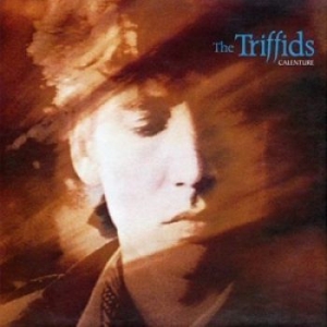 Triffids - Calenture in the group CD / Rock at Bengans Skivbutik AB (2414251)