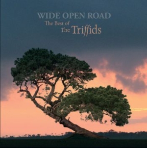 Triffids - Wide Open RoadBest Of in the group CD / Pop-Rock at Bengans Skivbutik AB (2414254)