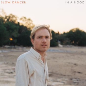 Slow Dancer - In A Mood in the group CD / Pop at Bengans Skivbutik AB (2426968)