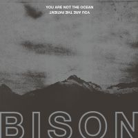 Bison - You Are Not The Ocean You Are The P in the group VINYL / Pop-Rock at Bengans Skivbutik AB (2437222)