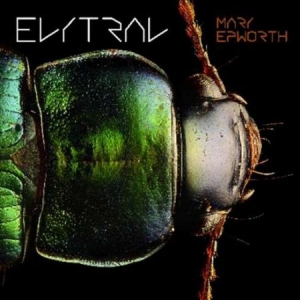 Epworth Mary - Elytral in the group VINYL / Pop-Rock at Bengans Skivbutik AB (2465428)