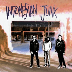 Indonesian Junk - Indonesian Junk in the group VINYL / Rock at Bengans Skivbutik AB (2519915)