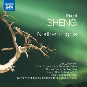 Sheng Bright - Northern Lights in the group OUR PICKS / Christmas gift tip CD at Bengans Skivbutik AB (2527409)