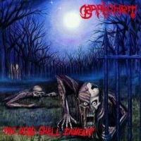 Baphomet - Dead Shall Inherit in the group VINYL / Hårdrock at Bengans Skivbutik AB (2546319)