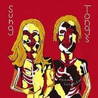 ANIMAL COLLECTIVE - SUNG TONGS (VINYL) in the group VINYL / Pop-Rock at Bengans Skivbutik AB (2547684)