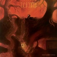 Great Discord - Rabbit Hole in the group VINYL / Hårdrock,Pop-Rock,Reggae at Bengans Skivbutik AB (2548683)