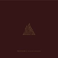 TRIVIUM - THE SIN AND THE SENTENCE in the group OUR PICKS / Christmas gift tip CD at Bengans Skivbutik AB (2618080)