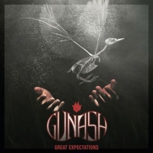 Gunash - Great Expectations in the group VINYL / Rock at Bengans Skivbutik AB (2822261)