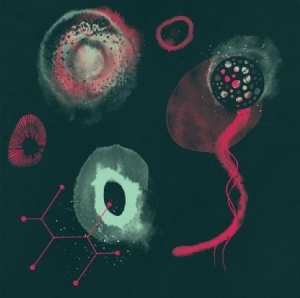 Polypores - Impossibility in the group VINYL / Rock at Bengans Skivbutik AB (3034771)