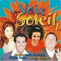 Blandade Artister - Le Soleil Dans La Voix in the group CD / Pop-Rock at Bengans Skivbutik AB (3042783)