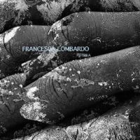 Lombardo Francesca - Terra in the group VINYL / Dance-Techno at Bengans Skivbutik AB (3052735)