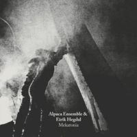 Alpaca Ensemble - Eirik Hegdal in the group VINYL / Jazz at Bengans Skivbutik AB (3083087)