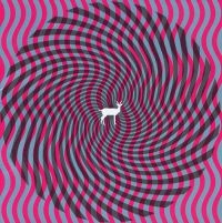 Deerhunter - Cryptograms in the group VINYL / Pop-Rock at Bengans Skivbutik AB (3096980)