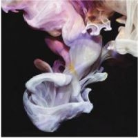 Simian Mobile Disco - Murmurations in the group CD / Pop-Rock at Bengans Skivbutik AB (3115867)