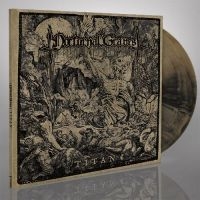 Nocturnal Graves - Titan (Gold Black Mix Lp Gatefold) in the group VINYL / Hårdrock at Bengans Skivbutik AB (3116775)