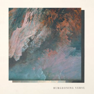 Chisholm Ben & Felix Skinner - Burgeoning Verse in the group VINYL / Rock at Bengans Skivbutik AB (3212108)