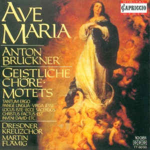 A.Bruckner Motetten in the group OUR PICKS / Christmas gift tip CD at Bengans Skivbutik AB (3226972)