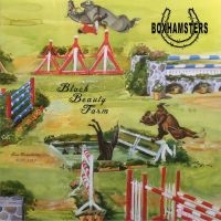 Boxhamsters - Black Beauty Farm (Inkl.Cd) in the group VINYL / Pop-Rock at Bengans Skivbutik AB (3266695)