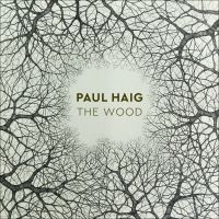 Haig Paul - Wood in the group CD / Pop-Rock at Bengans Skivbutik AB (3275460)