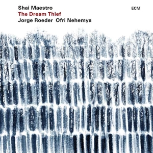 Maestro Shai Roeder Jorge Nehem - The Dream Thief (Lp) in the group VINYL / Jazz at Bengans Skivbutik AB (3310358)