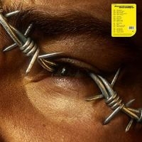 Post Malone - Beerbongs & Bentleys (2Lp) in the group OTHER / -Start LP2 at Bengans Skivbutik AB (3310578)