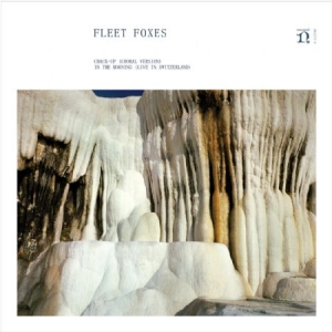 Fleet Foxes - Crack-Up (Choral Version) / In The Morning (Live in Montreux) in the group OUR PICKS / Record Store Day / RSD2013-2020 at Bengans Skivbutik AB (3313508)