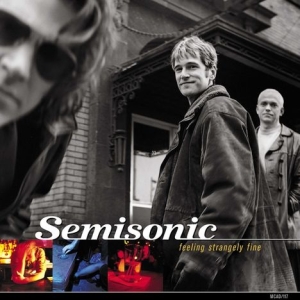 Semisonic - Feeling Strangely Fine (20Th Annive in the group OTHER / MK Test 3 at Bengans Skivbutik AB (3320814)