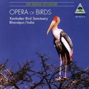 Recordings From The Keoladeo Bird S - Opera Of Birds in the group OUR PICKS / Christmas gift tip CD at Bengans Skivbutik AB (3322414)