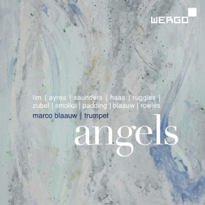 Various - Angels in the group OUR PICKS / Christmas gift tip CD at Bengans Skivbutik AB (3329204)