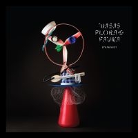 Vasas Flora Och Fauna - Strandgut in the group CD / Pop-Rock at Bengans Skivbutik AB (3329986)