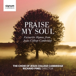 Various - Praise My Soul: Favourite Hymns Fro in the group OUR PICKS / Christmas gift tip CD at Bengans Skivbutik AB (3469549)