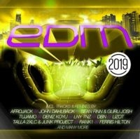 Blandade Artister - Edm 2019 in the group CD / Dance-Techno at Bengans Skivbutik AB (3472224)