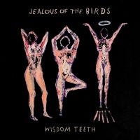 Jealous Of The Birds - Wisdom Teeth in the group VINYL / Rock at Bengans Skivbutik AB (3498256)