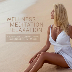 Blandade Artister - Wellness - Meditation - Relaxation in the group CD / Pop-Rock at Bengans Skivbutik AB (3511833)