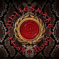 Whitesnake - Flesh & Blood in the group CD / Hårdrock at Bengans Skivbutik AB (3521498)