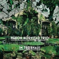 Kornstad Håkon (Trio) - Im Treibhaus in the group VINYL / Jazz at Bengans Skivbutik AB (3522484)