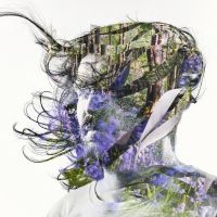 Bibio - Ribbons in the group OUR PICKS / Album Of The Year 2019 / Årsbästa 2019 Gaffa at Bengans Skivbutik AB (3530698)