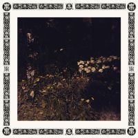 Davachi Sarah - Pale Bloom in the group VINYL / Pop-Rock at Bengans Skivbutik AB (3555433)