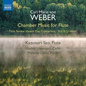 Weber C M Von - Chamber Music For Flute in the group CD / Klassiskt at Bengans Skivbutik AB (3651185)