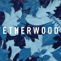 Etherwood - Blue Leaves in the group CD / Dance-Techno,Pop-Rock at Bengans Skivbutik AB (3659197)