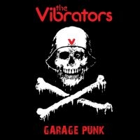 Vibrators - Garage Punk in the group VINYL / Pop-Rock at Bengans Skivbutik AB (3664641)