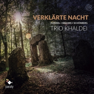 Dale Duesing Andreas Conrad - Verklarte Nacht in the group CD / Klassiskt,Övrigt at Bengans Skivbutik AB (3671809)