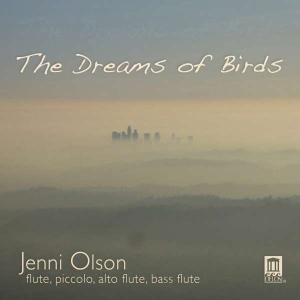 Olson - The Dreams Of Birds in the group OUR PICKS / Christmas gift tip CD at Bengans Skivbutik AB (3677210)