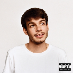 Rex Orange County - Pony in the group OUR PICKS /  Christmas gift tip Vinyl at Bengans Skivbutik AB (3679203)